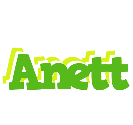 Anett picnic logo