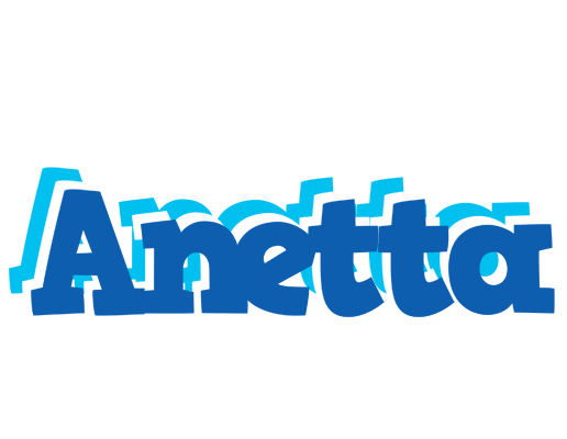 Anetta business logo