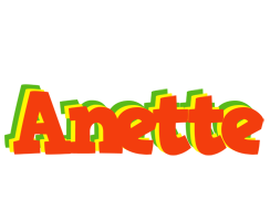 Anette bbq logo