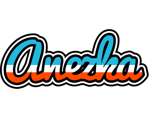 Anezka america logo