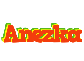 Anezka bbq logo