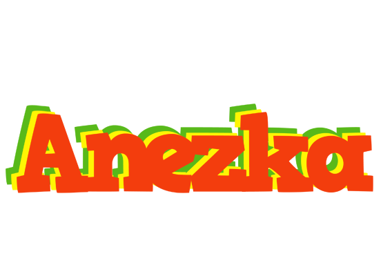 Anezka bbq logo