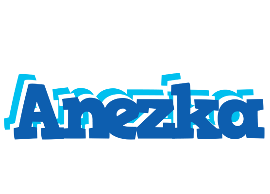 Anezka business logo