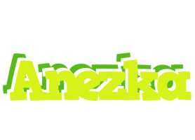 Anezka citrus logo