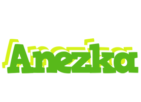 Anezka picnic logo