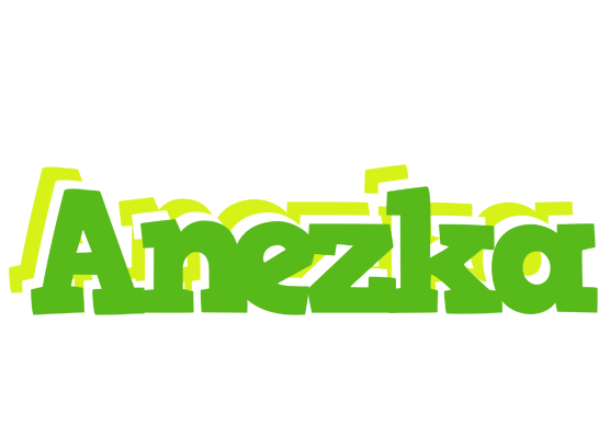 Anezka picnic logo