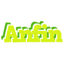 Anfin citrus logo