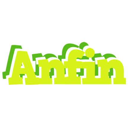 Anfin citrus logo