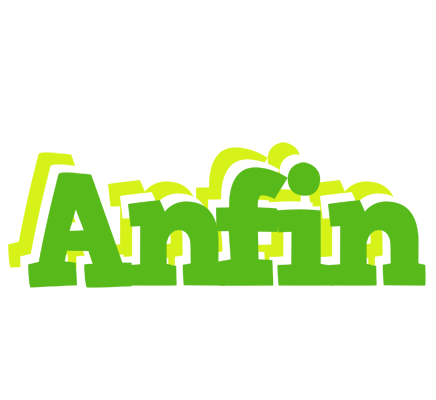 Anfin picnic logo