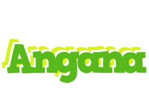 Angana picnic logo