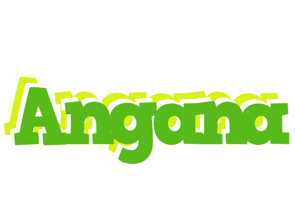Angana picnic logo