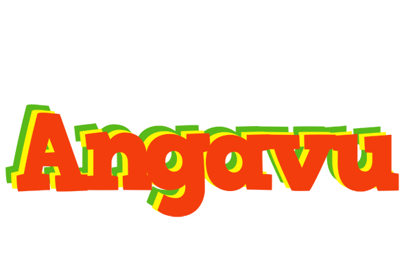 Angavu bbq logo