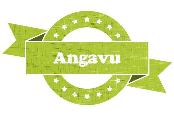 Angavu change logo