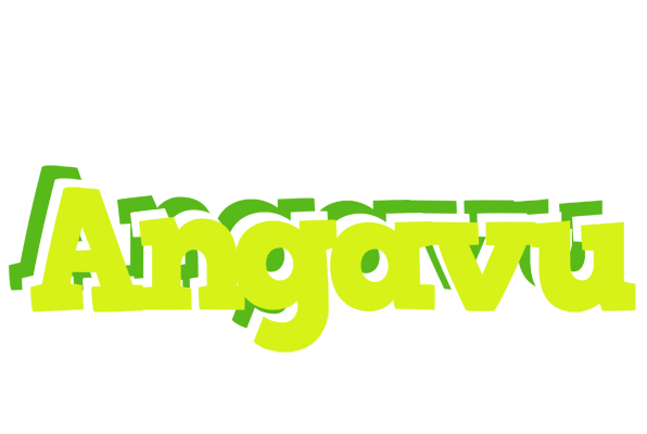 Angavu citrus logo