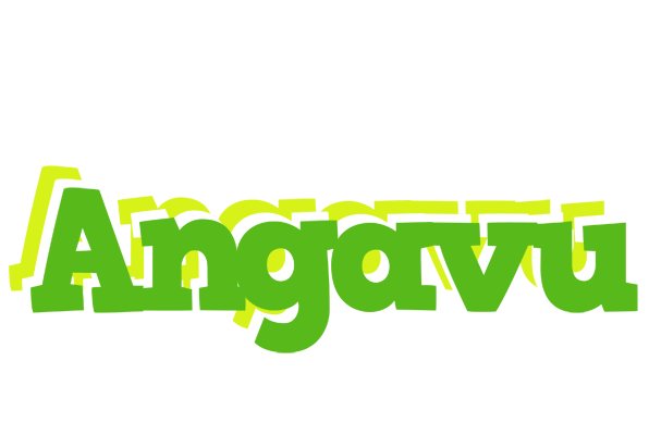 Angavu picnic logo