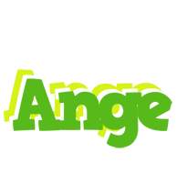 Ange picnic logo