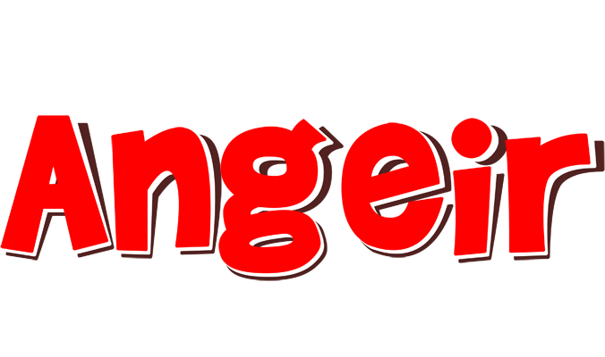 Angeir basket logo