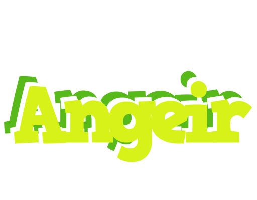 Angeir citrus logo