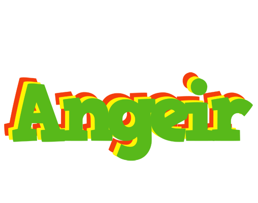 Angeir crocodile logo