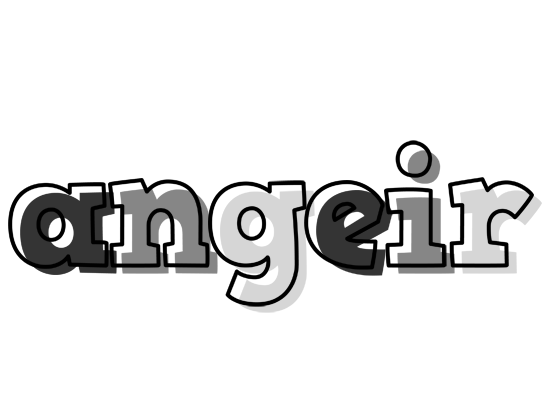 Angeir night logo