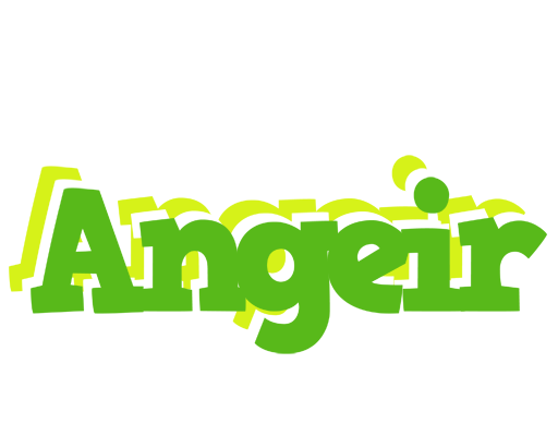 Angeir picnic logo