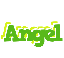 Angel picnic logo