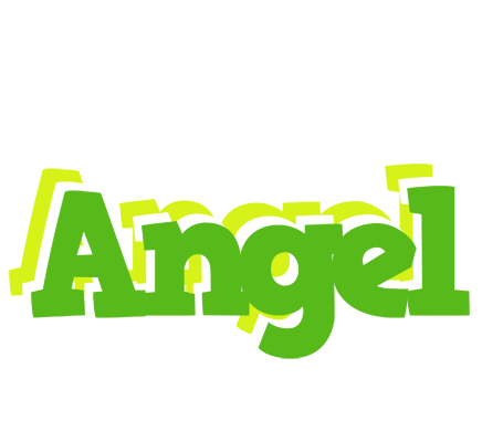 Angel picnic logo