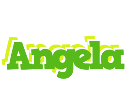 Angela picnic logo