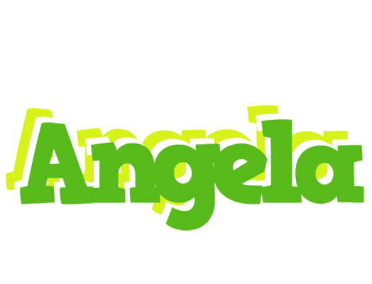 Angela picnic logo