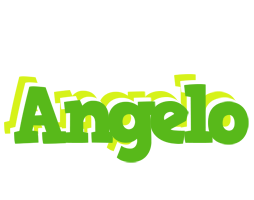 Angelo picnic logo