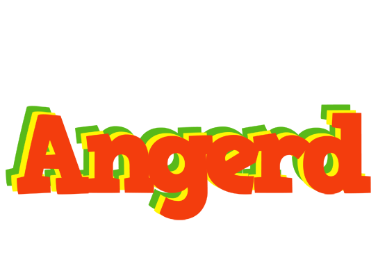 Angerd bbq logo