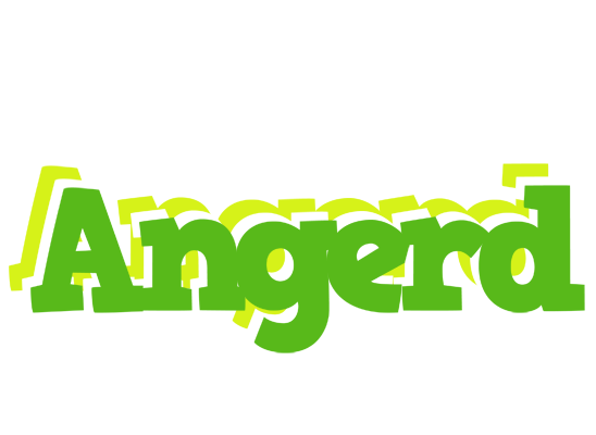 Angerd picnic logo