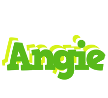 Angie picnic logo