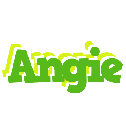 Angie picnic logo