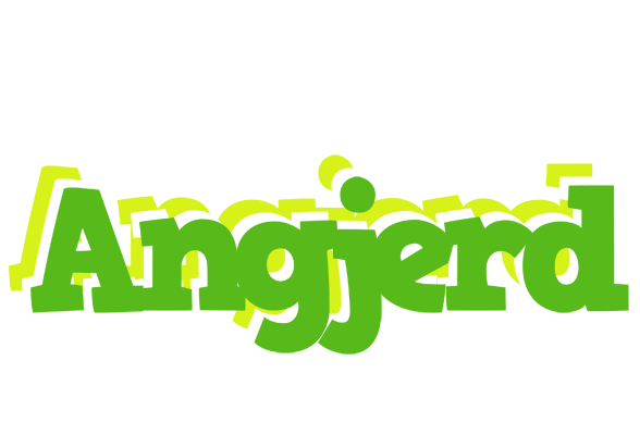 Angjerd picnic logo