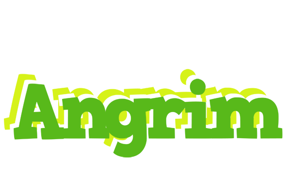 Angrim picnic logo