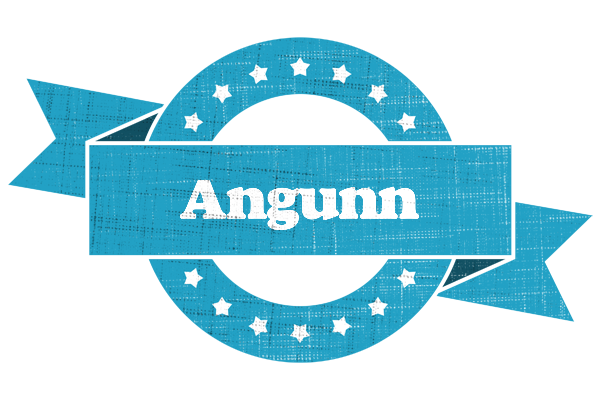 Angunn balance logo