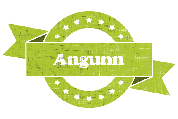 Angunn change logo