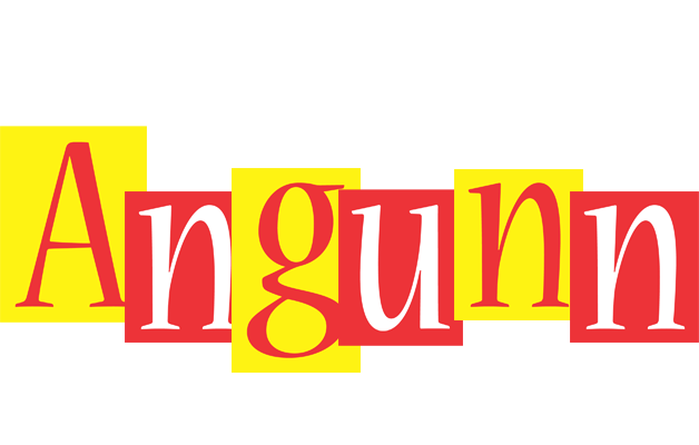 Angunn errors logo