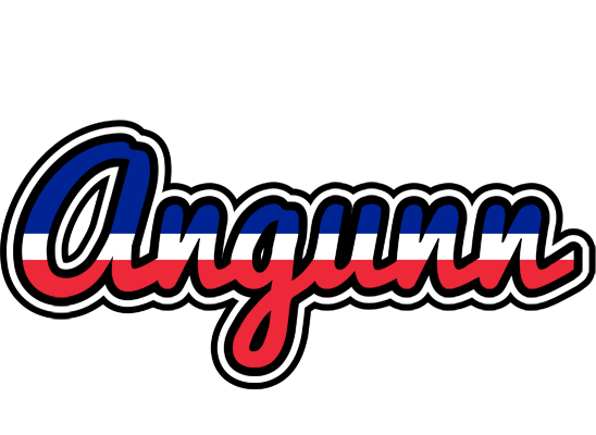 Angunn france logo