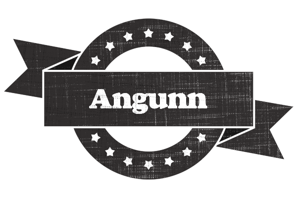 Angunn grunge logo
