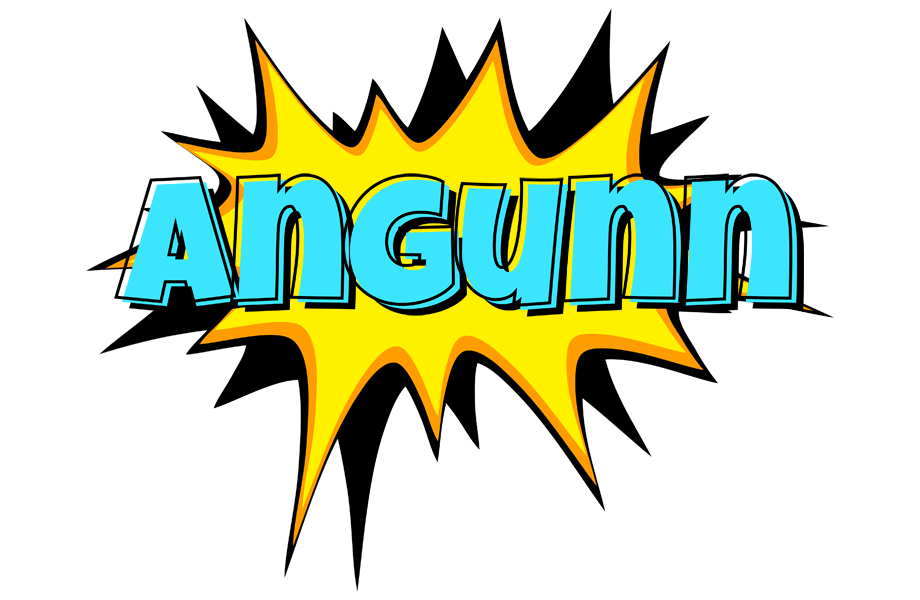 Angunn indycar logo