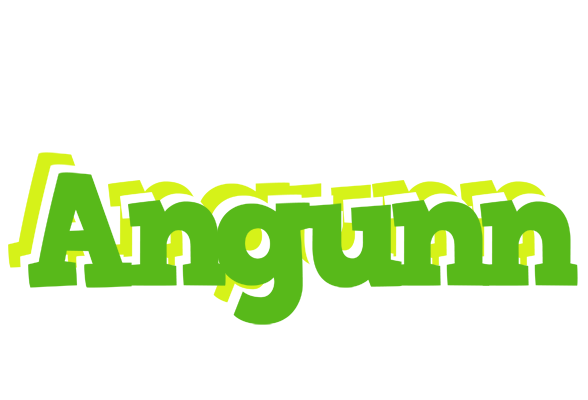 Angunn picnic logo