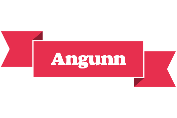 Angunn sale logo