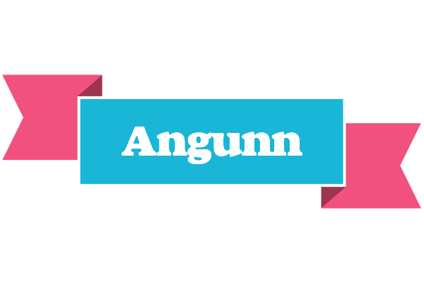 Angunn today logo