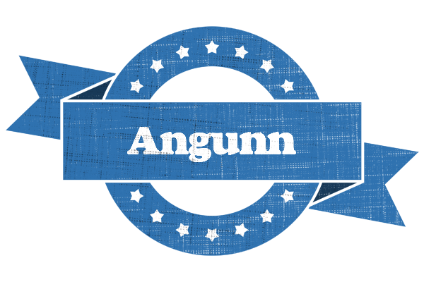 Angunn trust logo