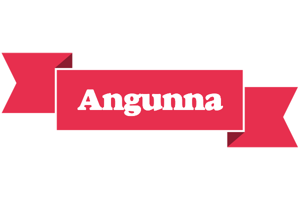 Angunna sale logo