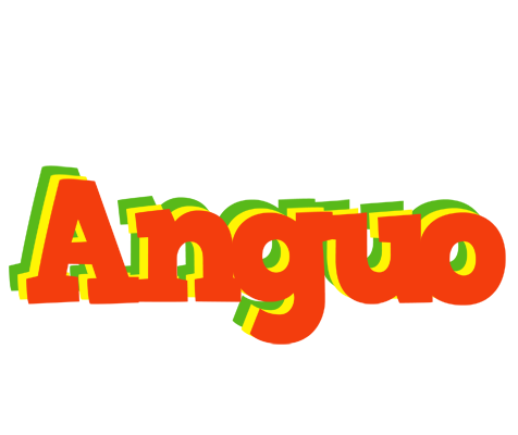 Anguo bbq logo