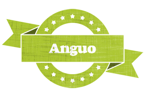 Anguo change logo