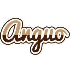 Anguo exclusive logo